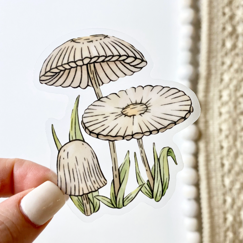 Sticker | Agaricus Plicatilis Botanical Clear