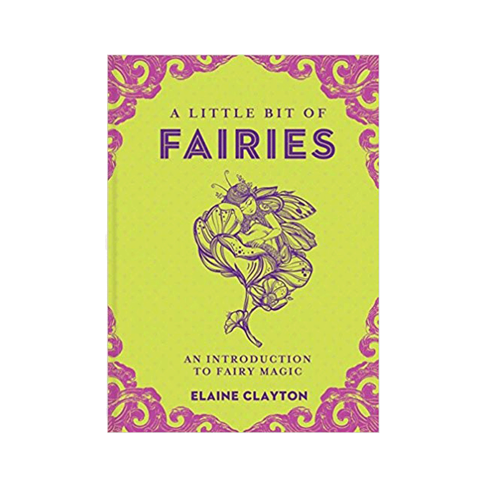 Little Bit of Fairies: An Introduction to the Fairie Magic (Little Bit Series)