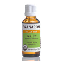 Tea Tree Essential Oil (3 Sizes)